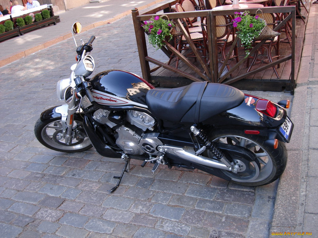 , harley, davidson